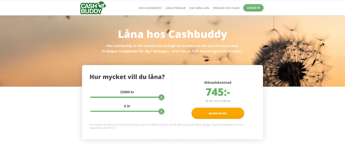 CashBuddy hemsida